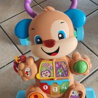 Cagnolino primi passi