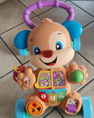 Cagnolino primi passi