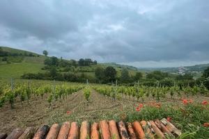 RGE 359/2022 Trib Pavia - LOTTO 5