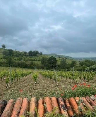 RGE 359/2022 Trib Pavia - LOTTO 5