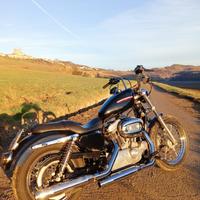 Harley-Davidson Sportster XL883L