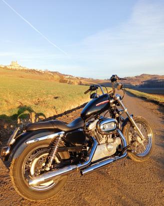 Harley-Davidson Sportster XL883L