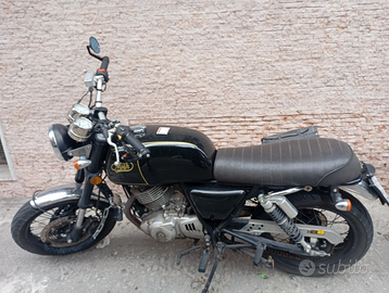 Mash black seven 250