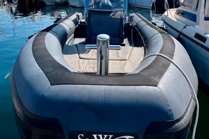 Sea water 280 - Mercury Verado 300 seawater