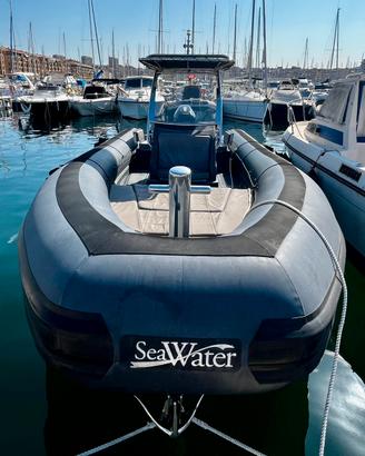 Sea water 280 - Mercury Verado 300 seawater