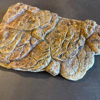 Superficie magnetica galleggiante per tartarughe