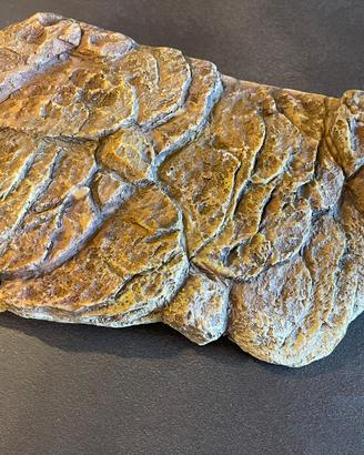 Superficie magnetica galleggiante per tartarughe