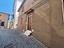Immagine 24