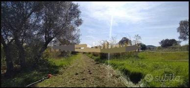 Terreno tuscia Canino (viterbo)