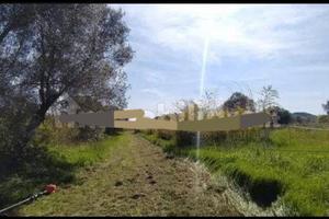 Terreno tuscia Canino (viterbo)