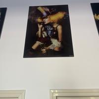 Quadri , scegline uno e compralo ad un prezzo top