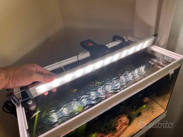 Luce Lampada Led Chihiros wrgb w60 per acquario