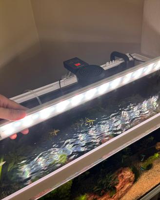 Luce Lampada Led Chihiros wrgb w60 per acquario