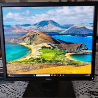 Monitor Dell 19 pollici 