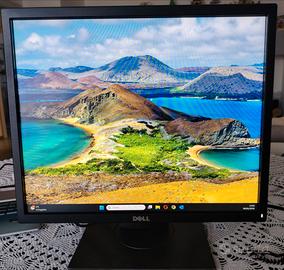 Monitor Dell 19 pollici 