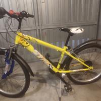 Mountain bike ruote da 24