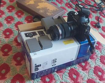 Olympus OMD EM5 + Zuiko Macro