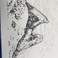 Disegno continentale o rocciosa.