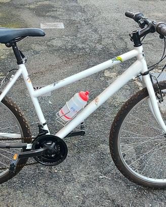 Mountain bike