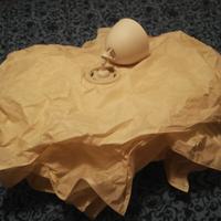 Lampada con paralume in carta