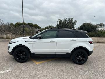 Land Rover Evoque  2.0 Td4 SE Dynamic 150 CV