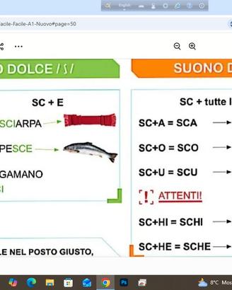 Cameriere / Aiuto cuoco / Barista / Lavapiatti