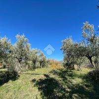 TER. RESIDENZIALE A SAN PIETRO IN GUARANO