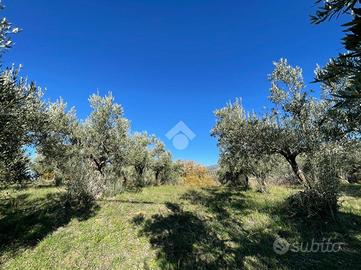 TER. RESIDENZIALE A SAN PIETRO IN GUARANO