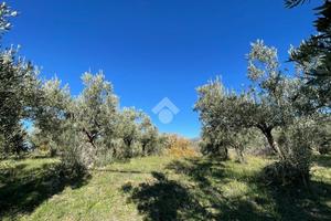 TER. RESIDENZIALE A SAN PIETRO IN GUARANO