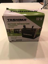 Batteria Tashima  trattorino tosaerba