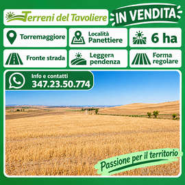 TERRENO AGRICOLO DI 6 HA – TORREMAGGIORE