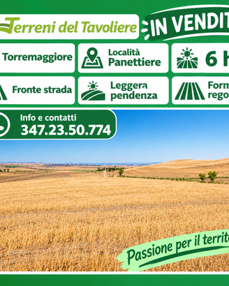 TERRENO AGRICOLO DI 6 HA – TORREMAGGIORE