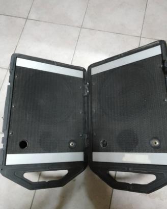 casse monitor  Peavey passive 