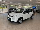 fiat-panda-1-0-firefly-s-s-hybrid