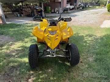 Quad adly interceptor 150