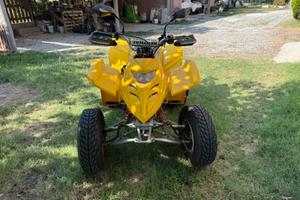Quad adly interceptor 150