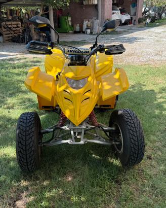 Quad adly interceptor 150