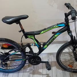 bicicletta 