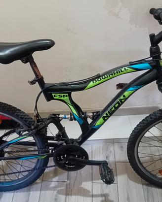 bicicletta 