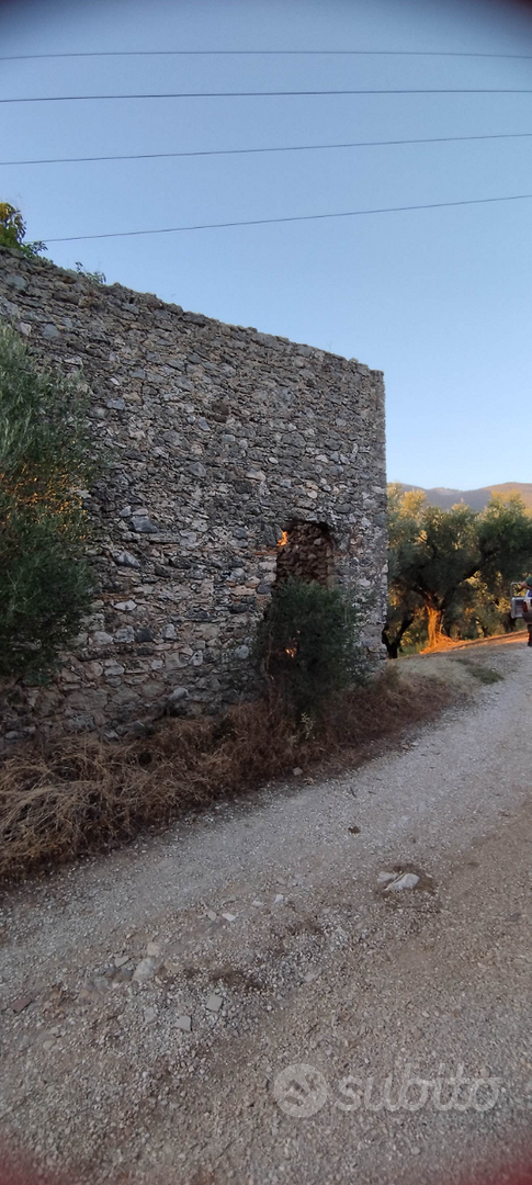 Terreno con ulivi ciliegi e un rudere - Vista 4