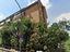 Immagine 15