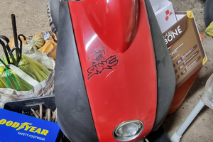 Peugeot ludix 50 snake