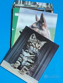 ANIMALI DOMESTICI 1976 CARDS SET -11 Figurine cane