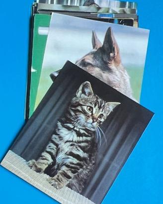 ANIMALI DOMESTICI 1976 CARDS SET -11 Figurine cane