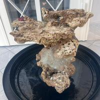 Rocce per Aquario marino