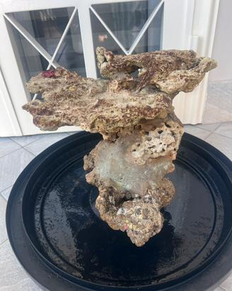 Rocce per Aquario marino