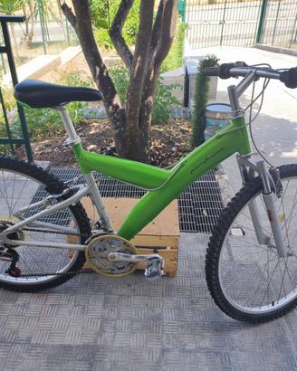 Bicicletta mountainbike Pininfarina 