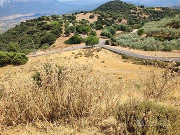 Rustico e terreno