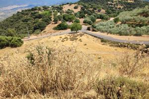 Rustico e terreno