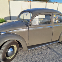 Maggiolino 6v